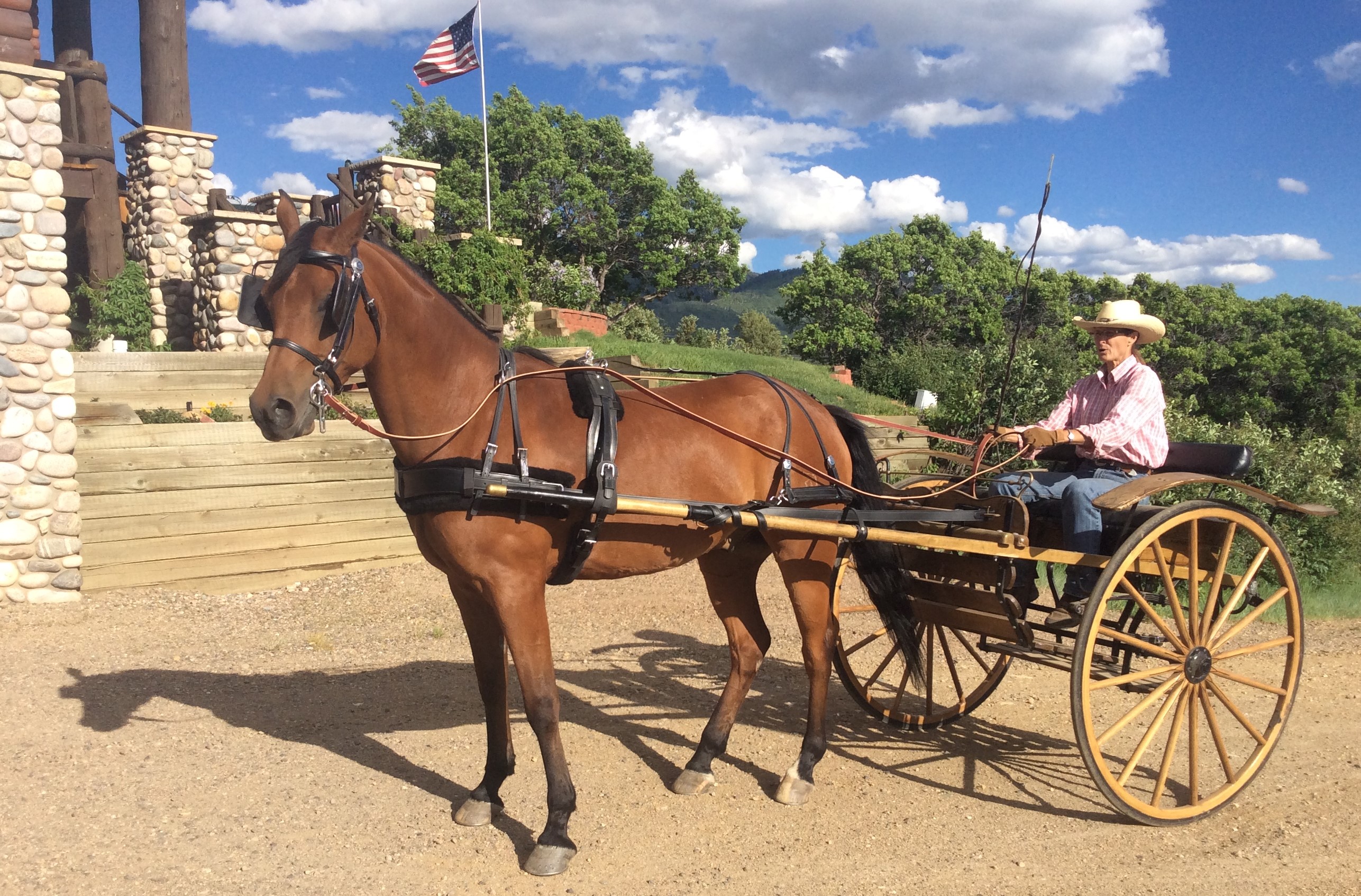6 Reasons Spring Creek Farm is THE ideal Steamboat Horse Property