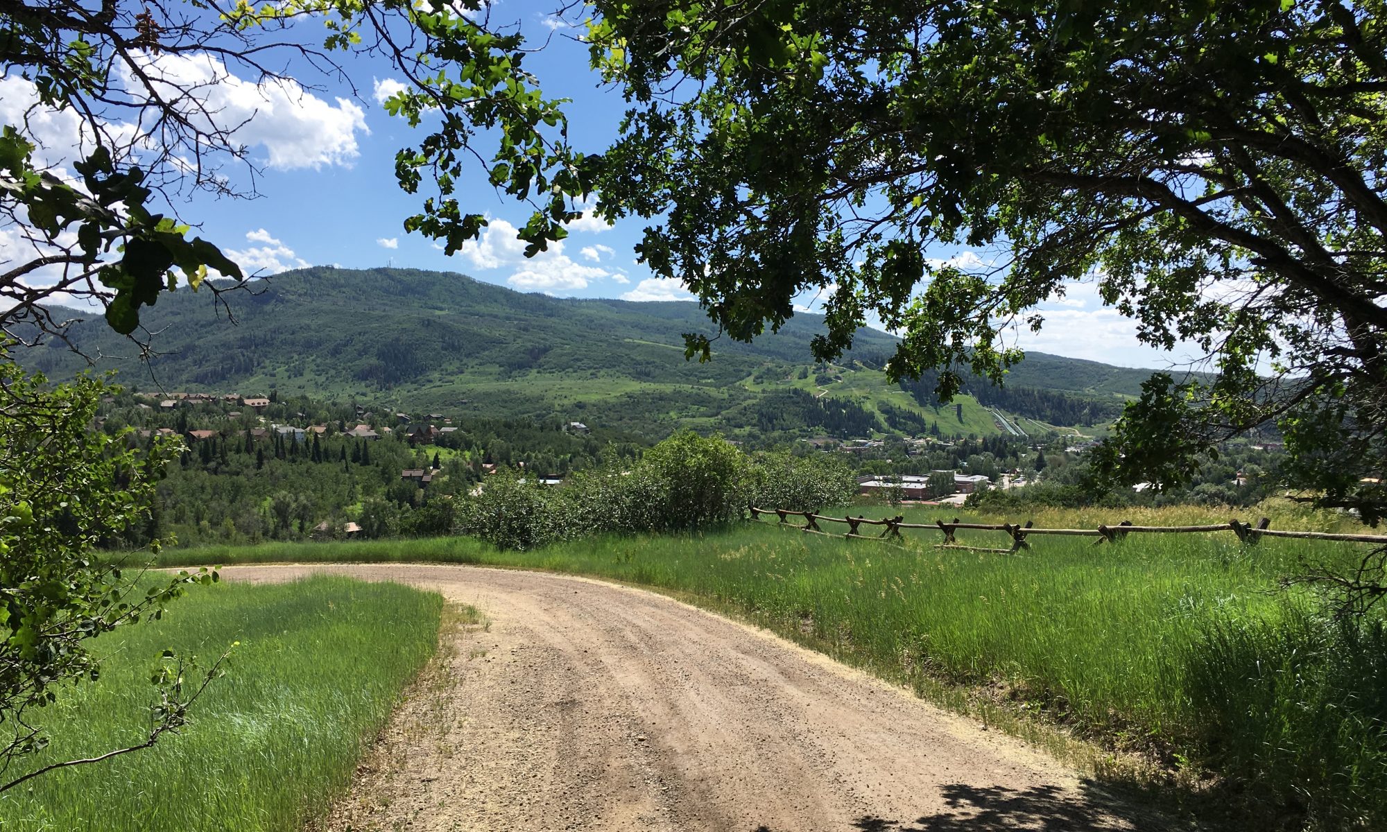A tree lined lane with mountain views sold in 2020 - A memorable year for real estate!