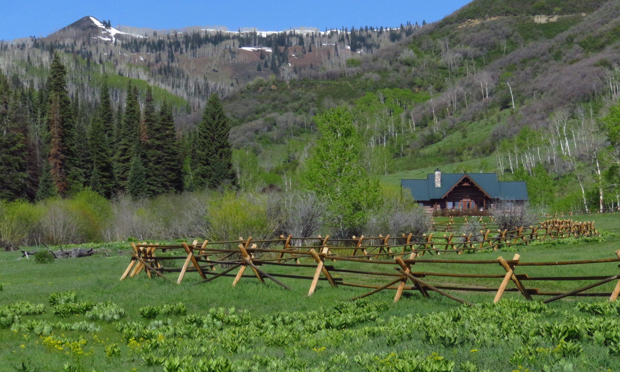Mystic Hill Ranch fence house peak