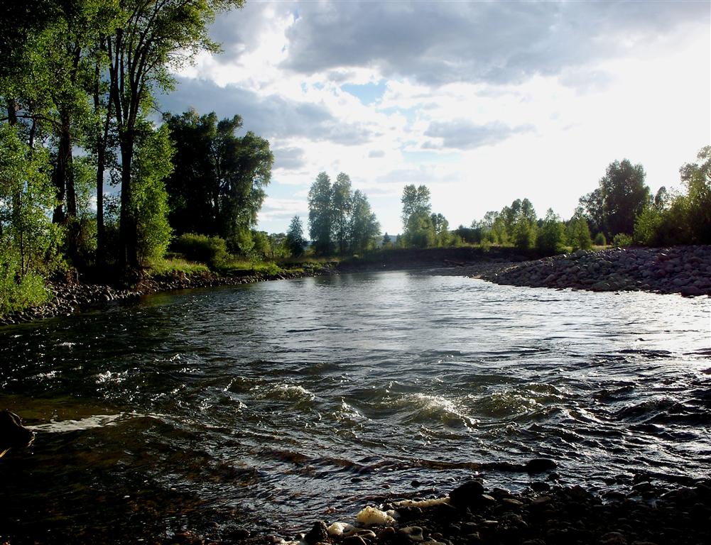 Elk River pool and riffle with cottonwood trees on the banks of the river