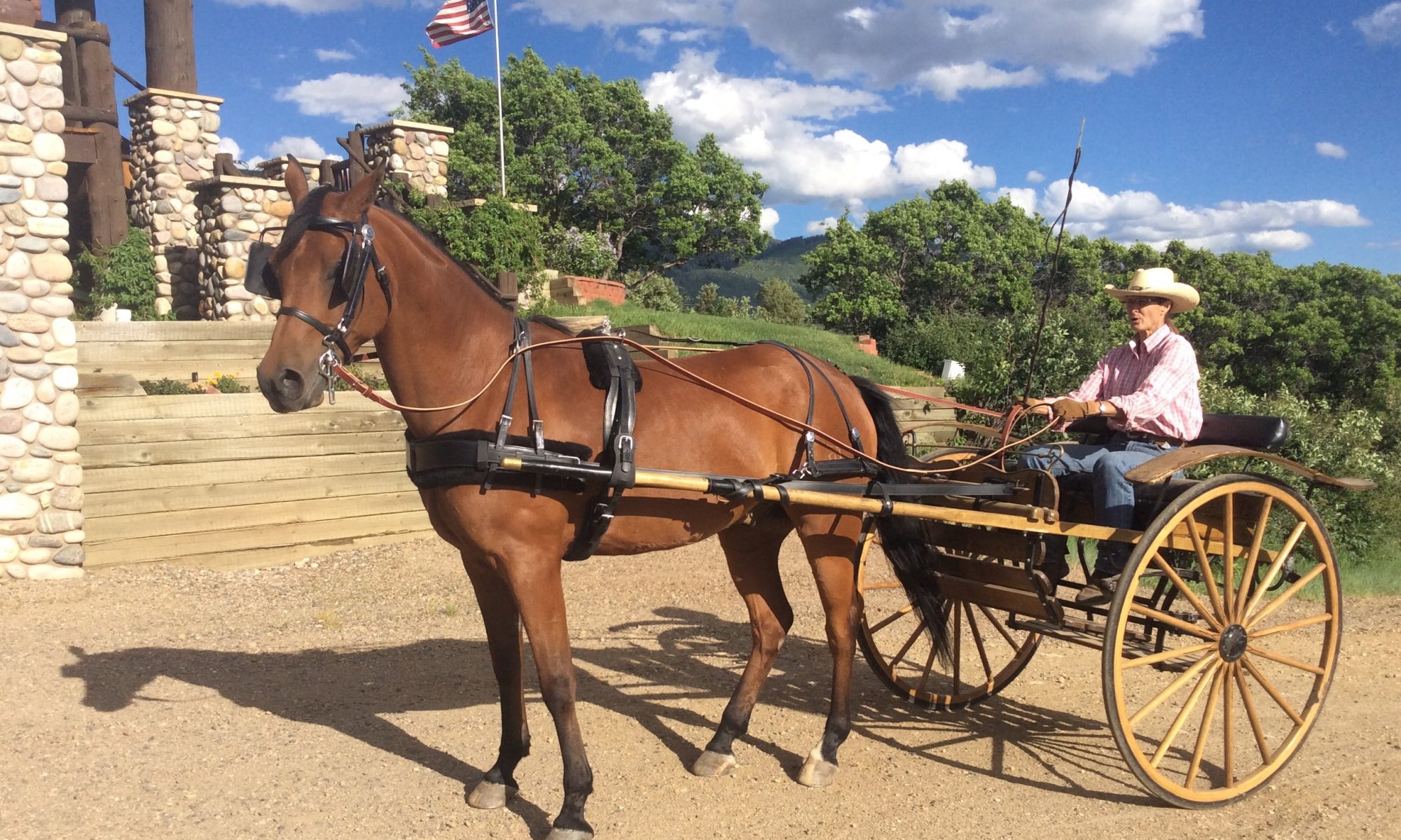 Horse and Carriage at Spring Creek Farm