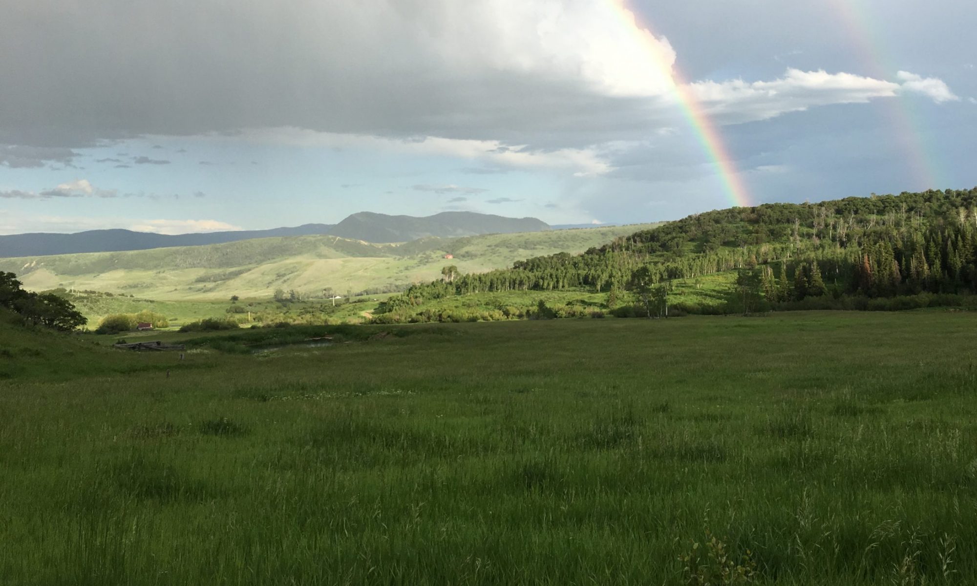 Rainbow and green pastures