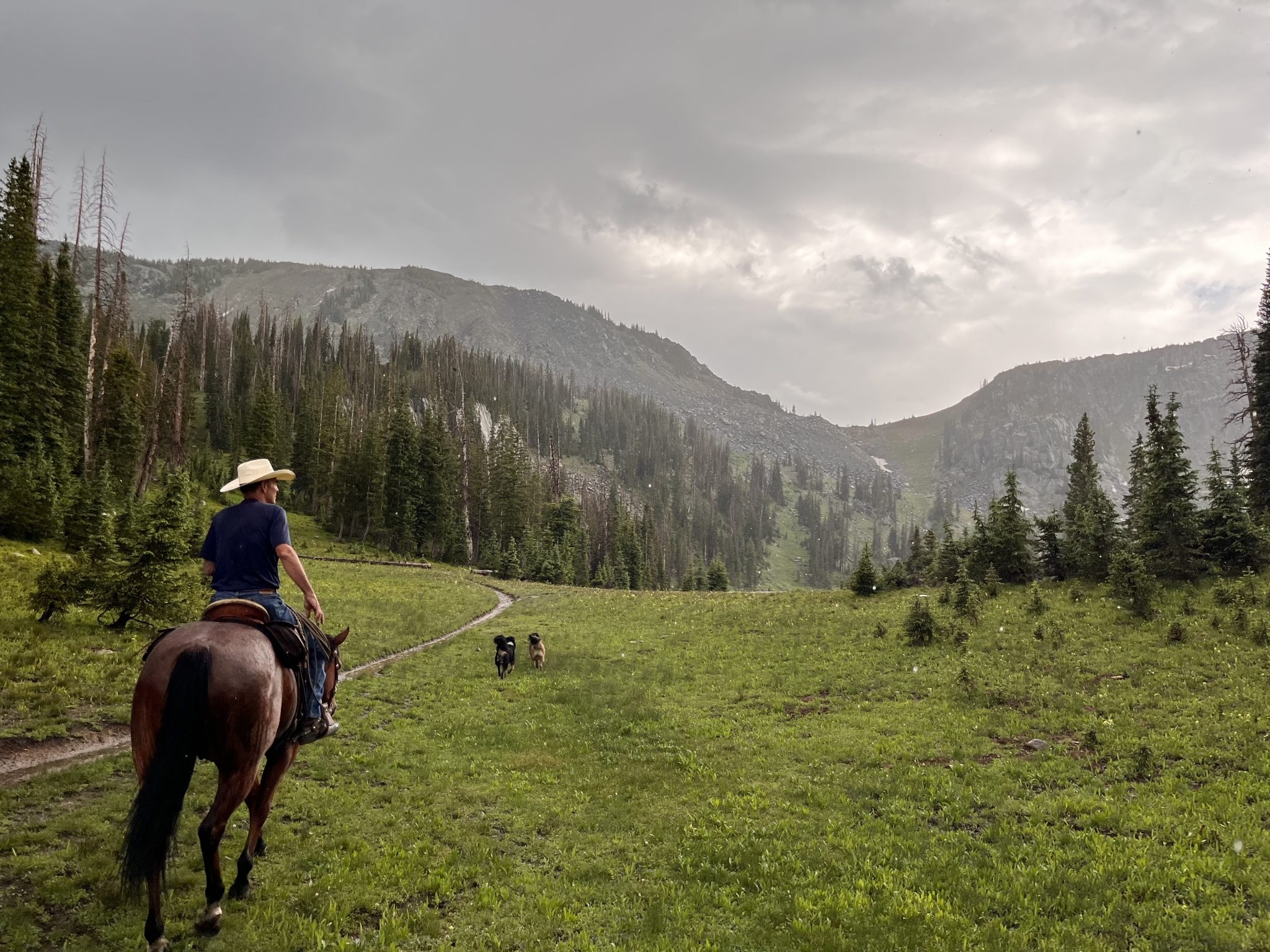 Ranches for sale Steamboat Springs Colorado Ranch & Resort Realty