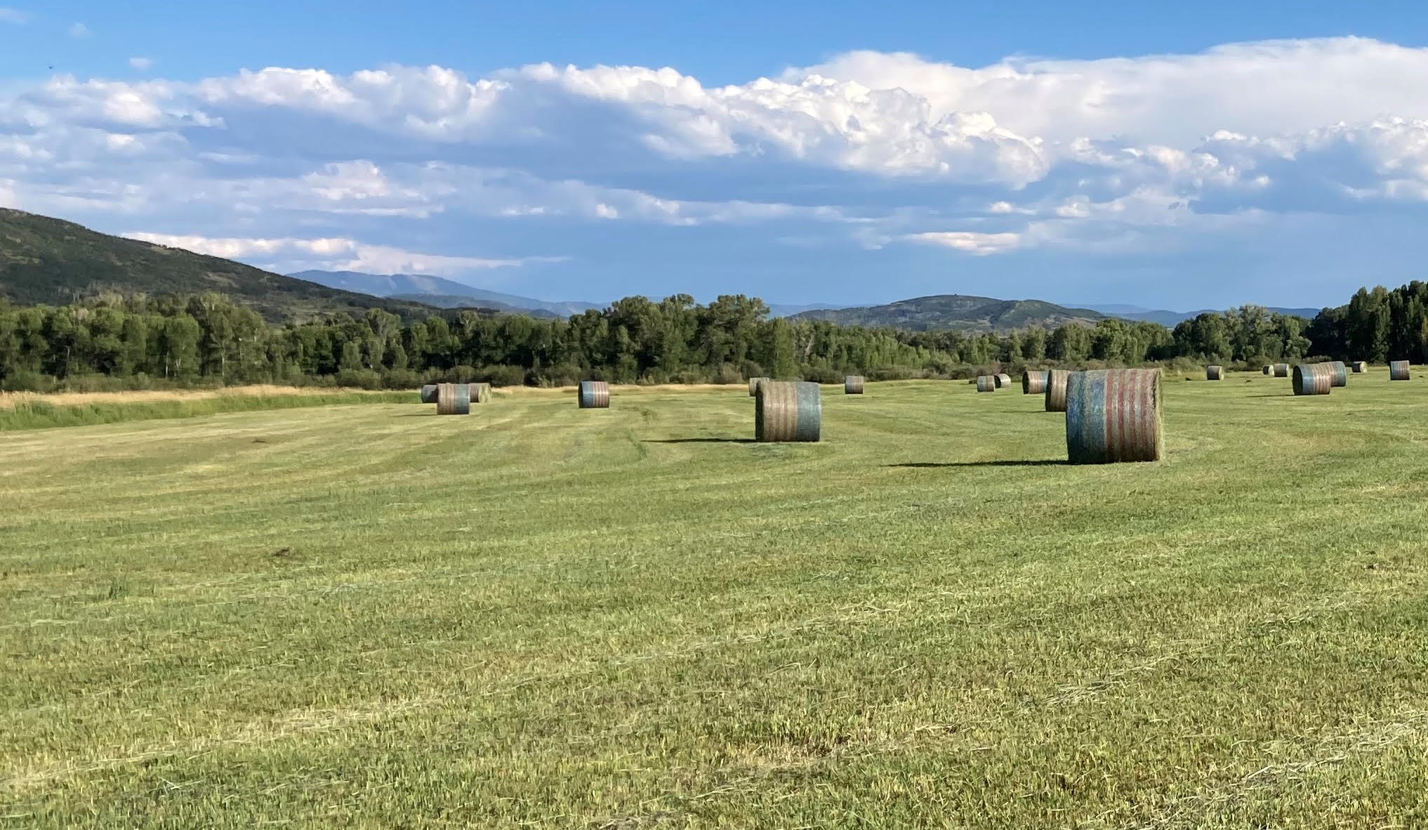 Hay Production in Routt County – Part 1
