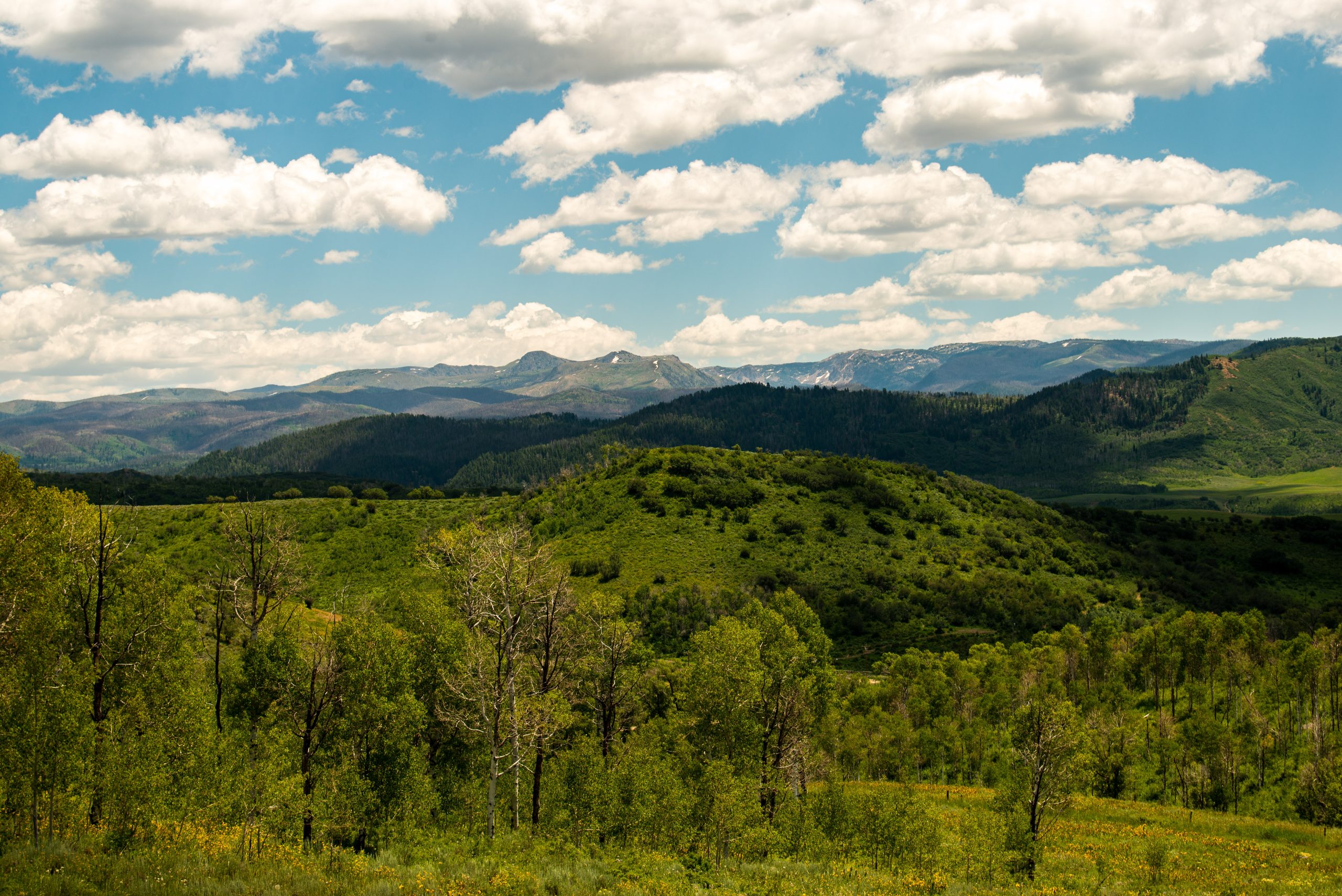 Murphy-Larsen Ranch Lot 10