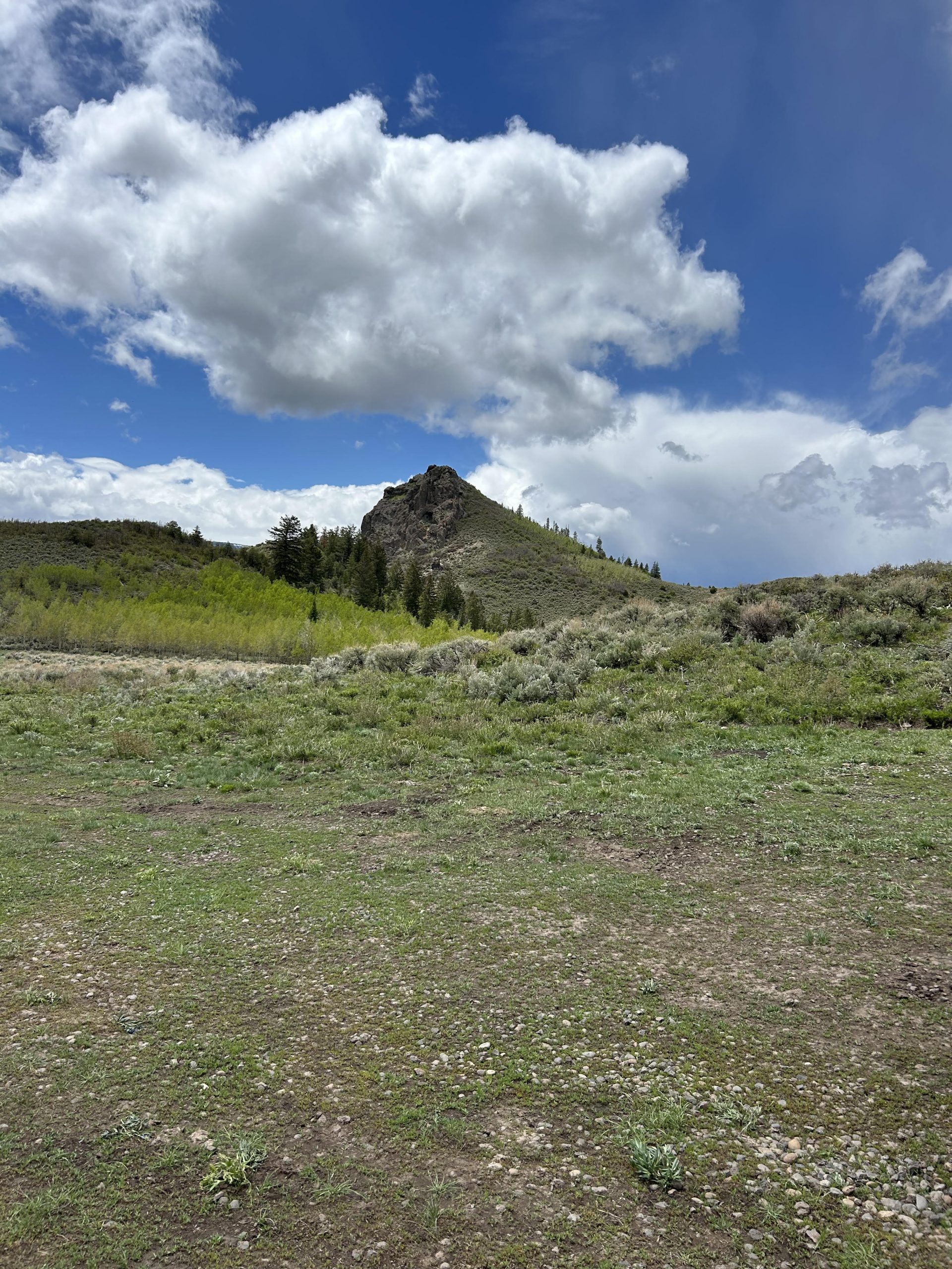 Phillips Creek Ranch – Buyer